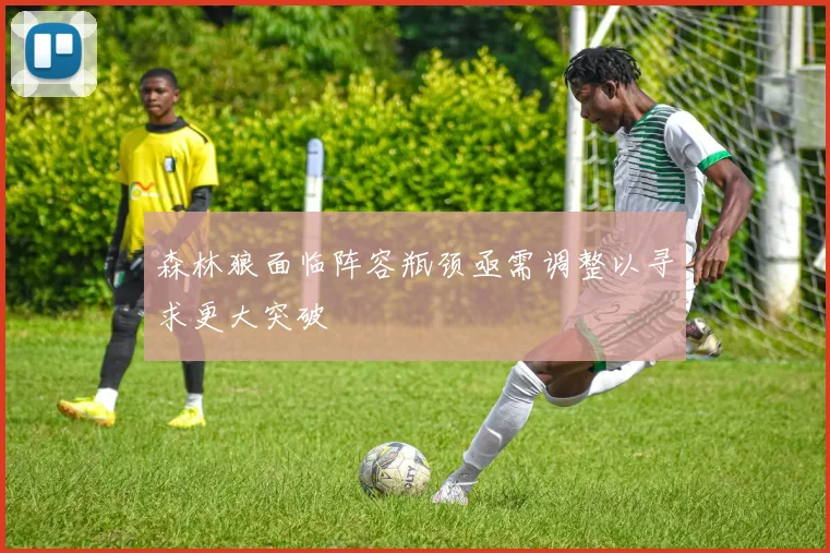 森林狼面临阵容瓶颈亟需调整以寻求更大突破